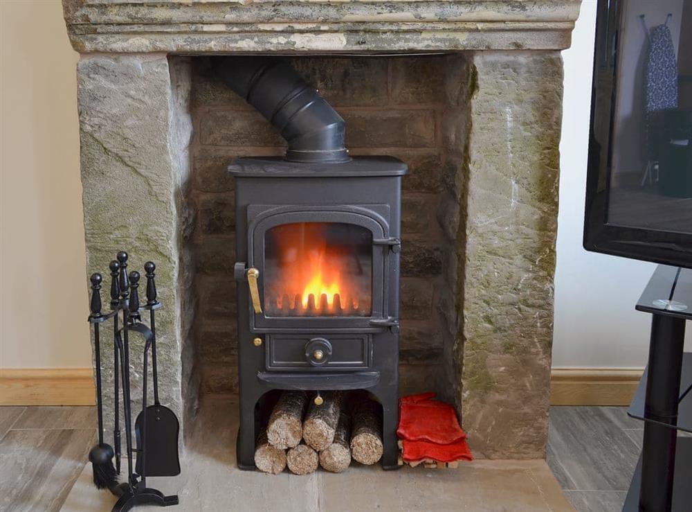Brilliant wood burner in the living area at Booth Farm Cottage, 