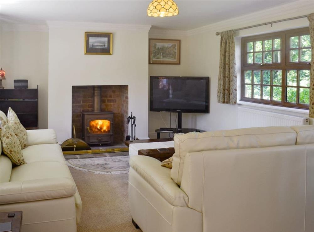 Homely living room with wood burner at Boothby Cottage in Welton le Marsh, near Spilsby, Lincolnshire