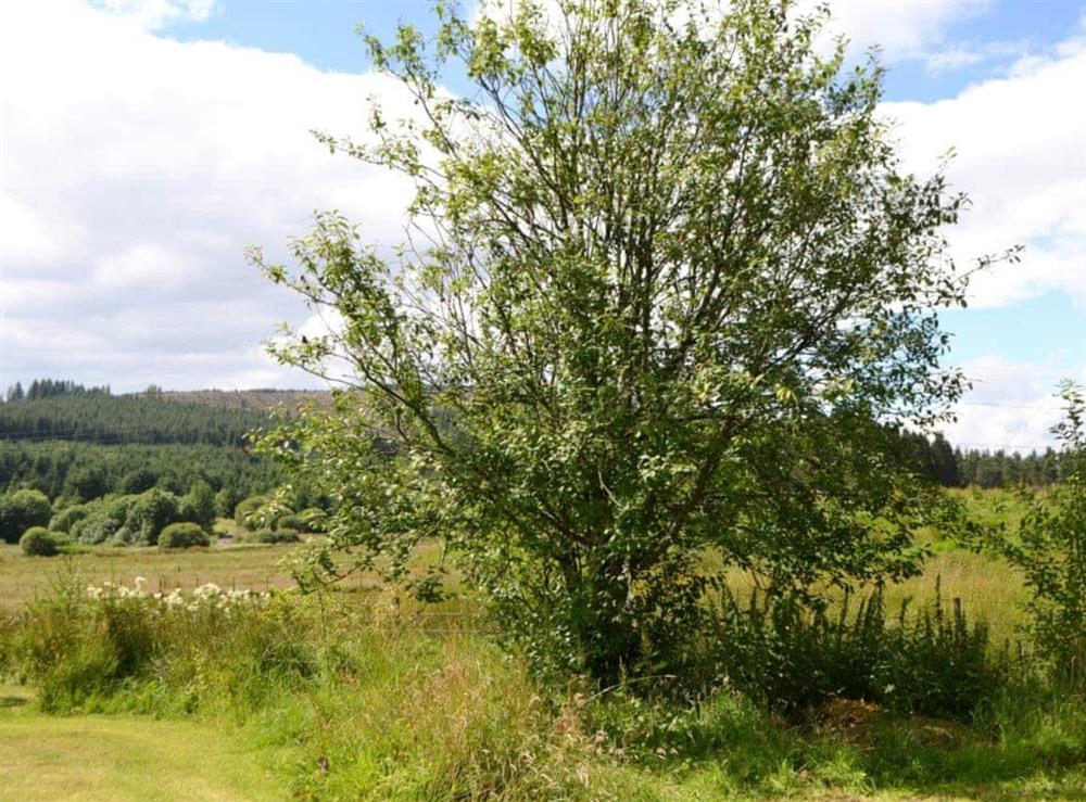Lovely surrounding countryside viewed from within garden at Fir Tree Cottage, 