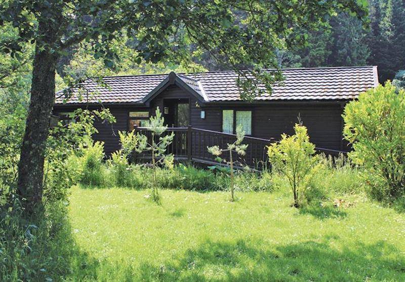 Heron Lodge (photo number 12) at Border Forest Lodges in Cottonhopesburnfoot, Near Otterburn