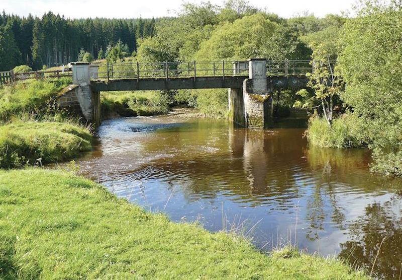Peaceful surroundings at Border Forest Lodges in Cottonhopesburnfoot, Near Otterburn