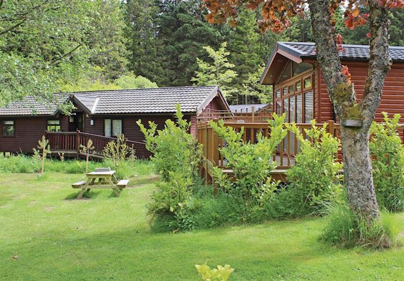 The park setting at Border Forest Lodges in Cottonhopesburnfoot, Near Otterburn