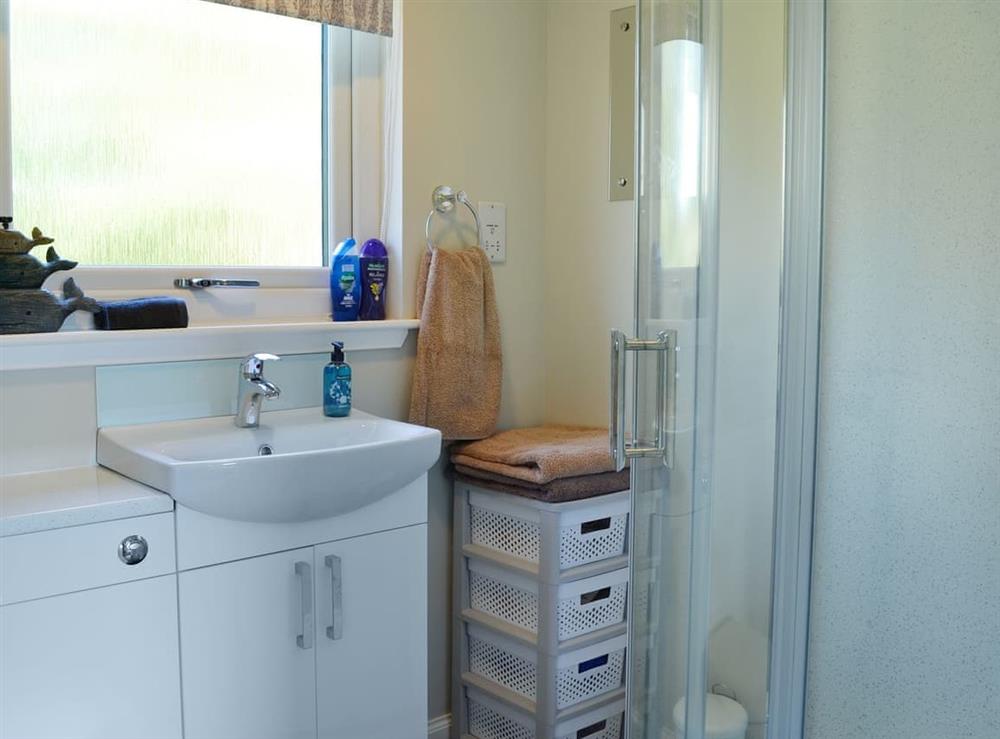 Shower room with shower cubicle at Boreland Farm Cabin, 
