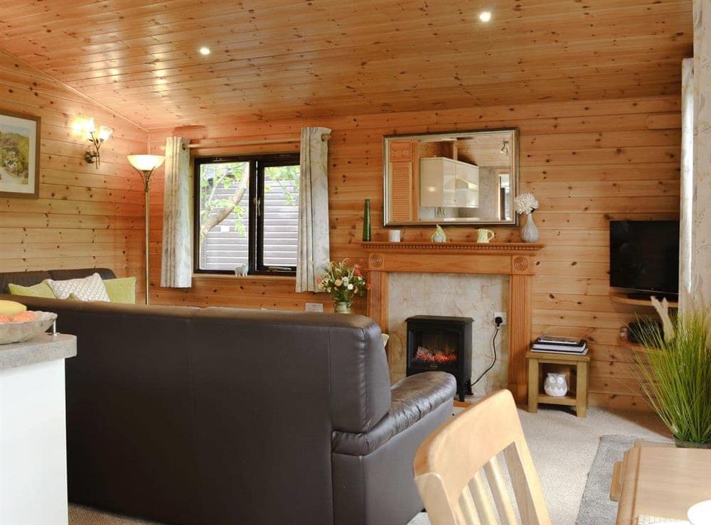 Wonderful open plan living space at Borrowdale Lodge in Keswick, Cumbria