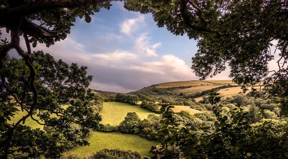 The countryside surrounding Boscastle Elm Cottage, Cornwall at Boscastle Elm Cottage in Boscastle, Cornwall