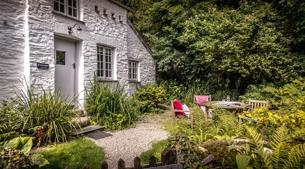 The front garden at Boscastle Elm Cottage in Boscastle, Cornwall