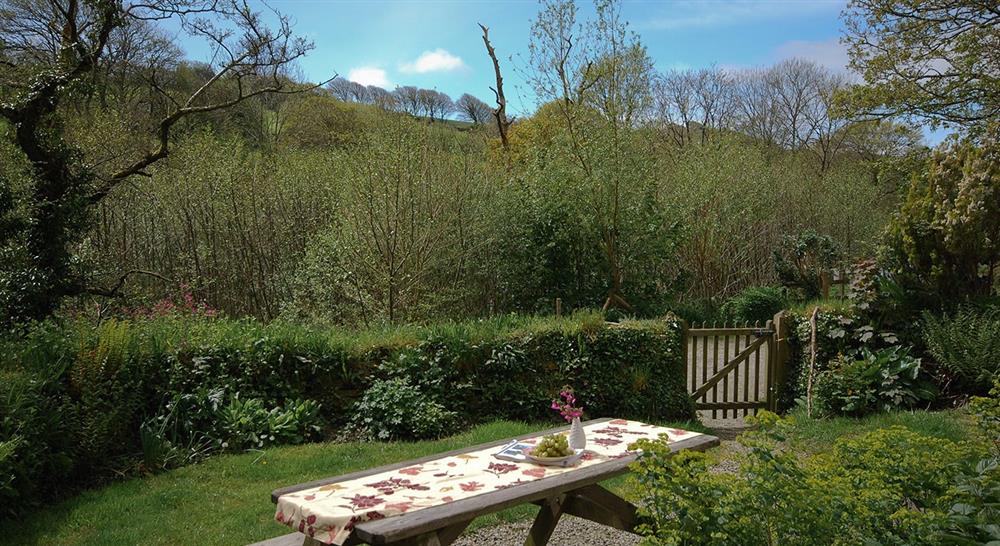 The garden at Boscastle Elm Cottage in Boscastle, Cornwall