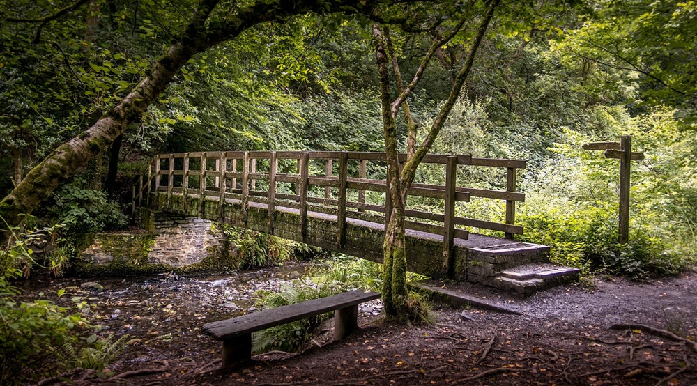 The River Valency by Boscastle Elm Cottage, Cornwall (photo 2) at Boscastle Elm Cottage in Boscastle, Cornwall