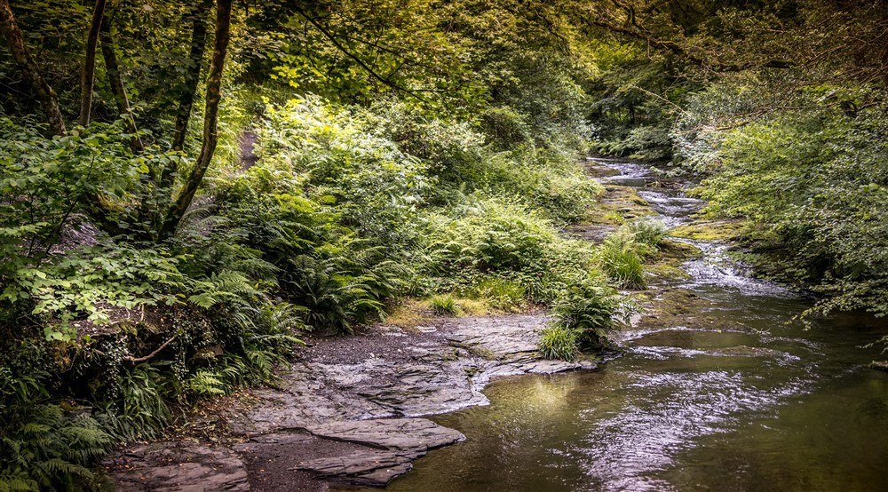 The River Valency by Boscastle Elm Cottage, Cornwall at Boscastle Elm Cottage in Boscastle, Cornwall