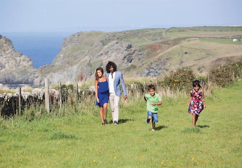 The park setting (photo number 6) at Bossiney Bay Cottages in Tintagel, Cornwall