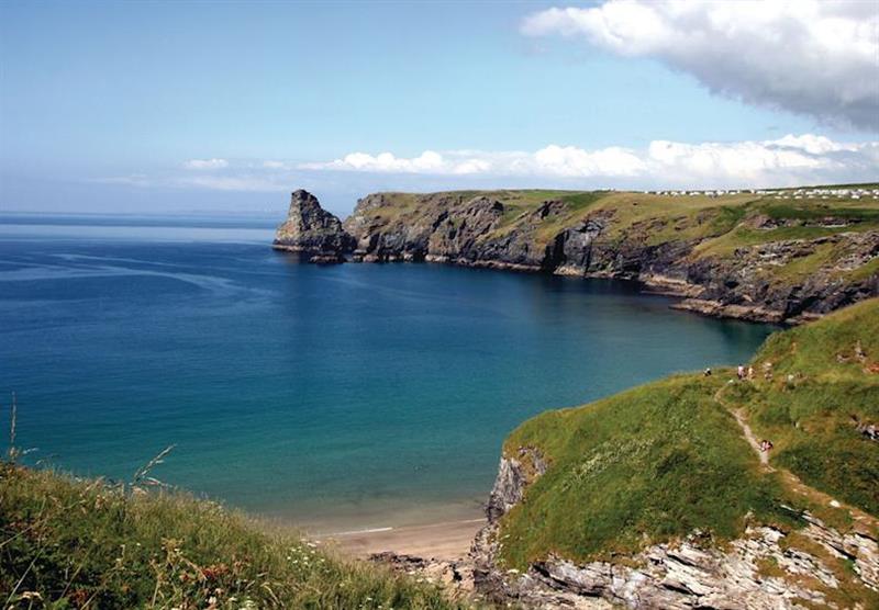 The park setting at Bossiney Bay Cottages in Tintagel, Cornwall