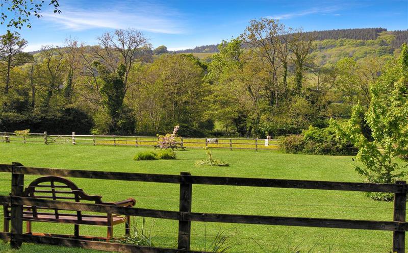 The setting around Bossington Cottage