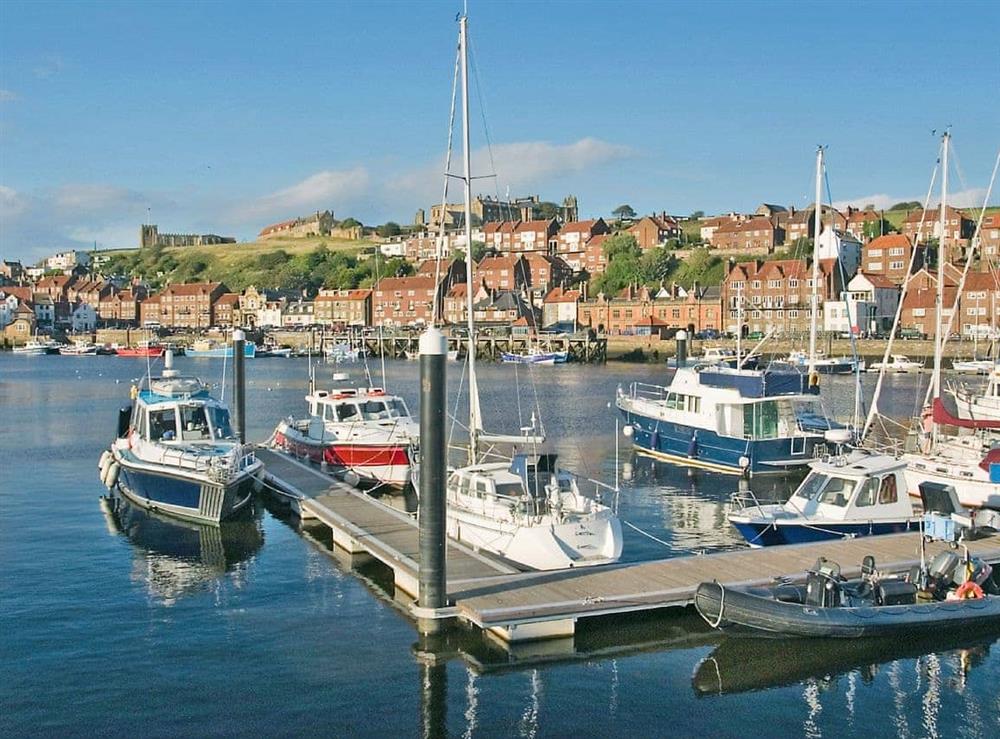 Whitby Harbour at Bo’suns Rest in Staithes, near Whitby, Cleveland