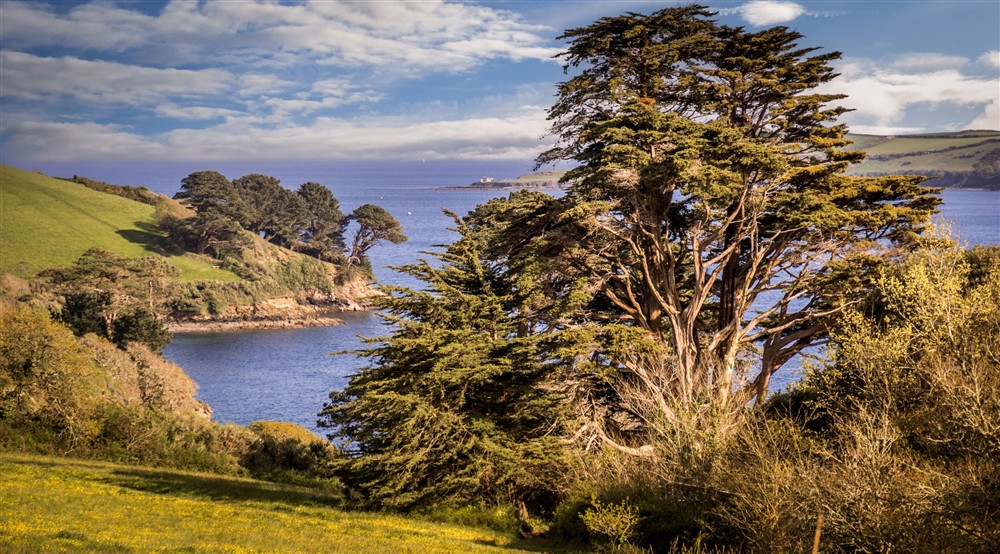 The area surrounding Bosveal, Cornwall (photo 3) at Bosveal in Falmouth, Cornwall