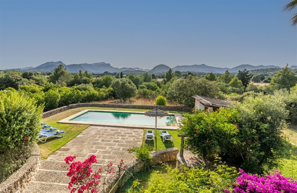 Bovis Gran (photo 13) at Bovis Gran in Pollensa, Mallorca