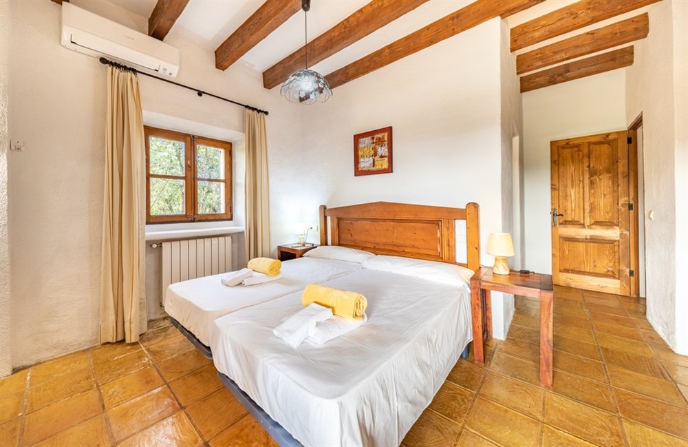 Bovis Gran (photo 26) at Bovis Gran in Pollensa, Mallorca