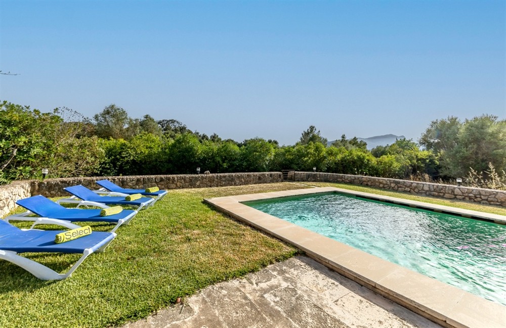 Bovis Gran (photo 29) at Bovis Gran in Pollensa, Mallorca