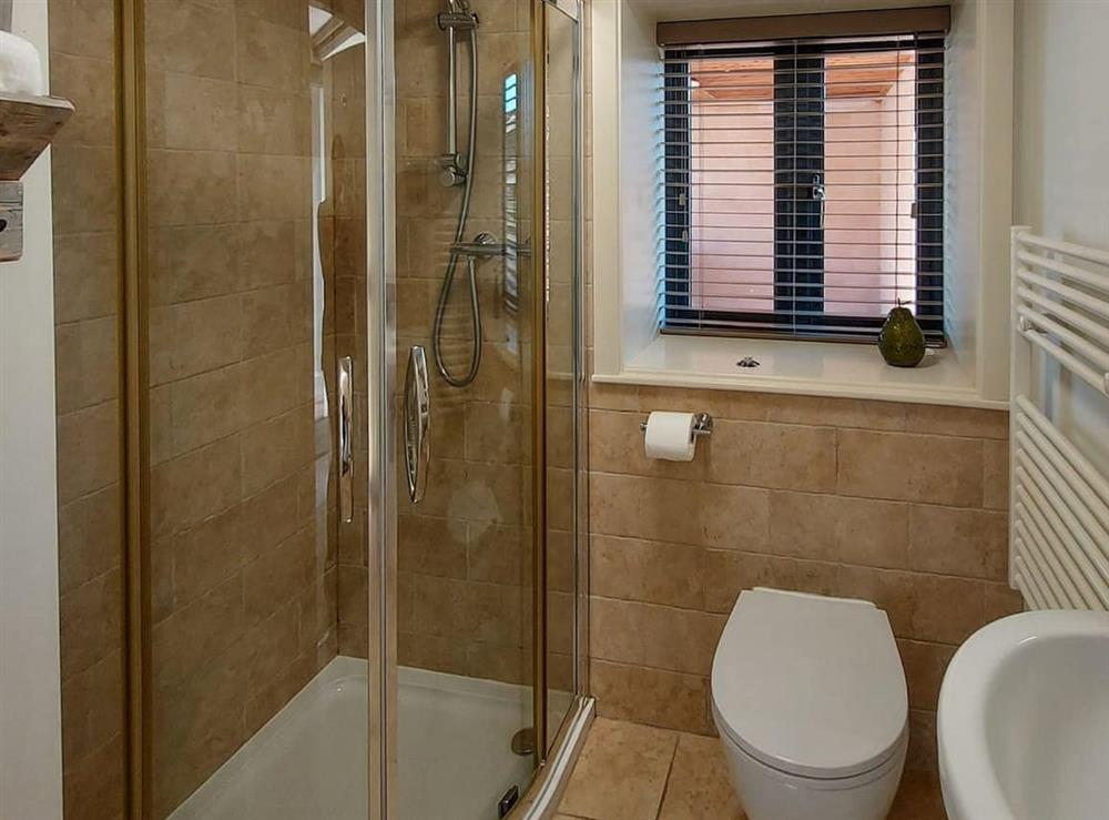 Ground floor shower room at Bow Well Lodge in Berwick-Upon-Tweed, Northumberland