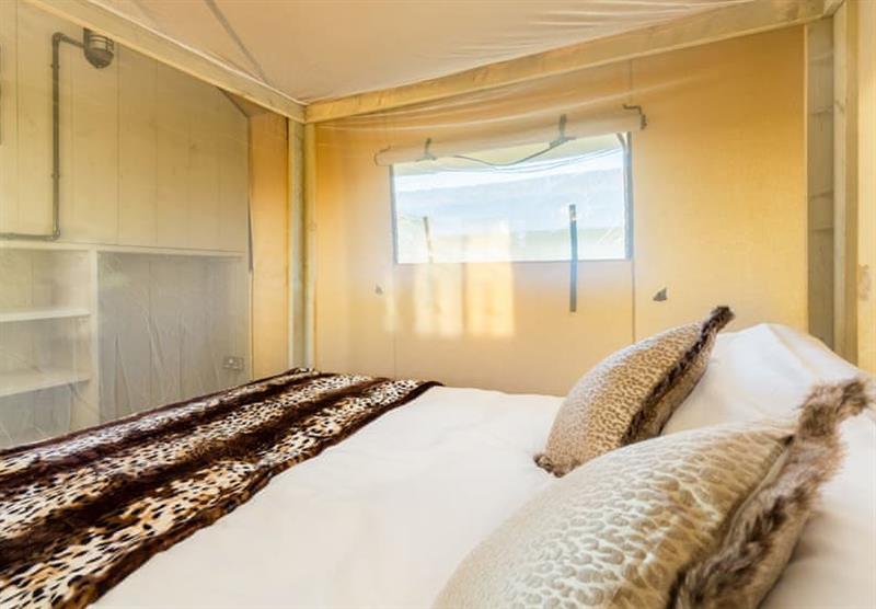 Bedroom in Leopard Safari Tent at Bowbrook Lodges in Pershore, Worcestershire