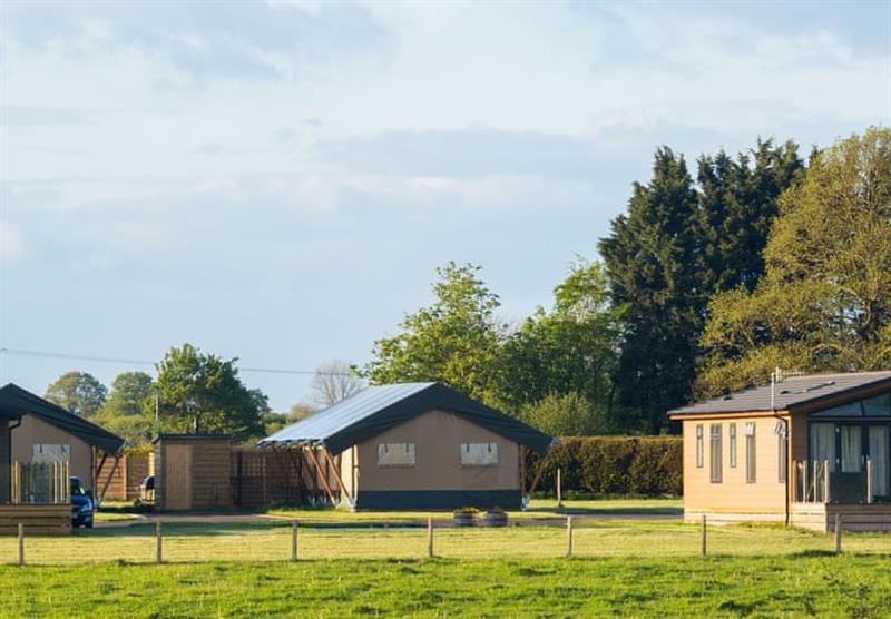 Some of the accommodation at Bowbrook Lodges in Pershore, Worcestershire