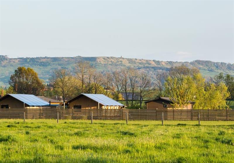 The lodges with the hills in the background at Bowbrook Lodges in Pershore, Worcestershire