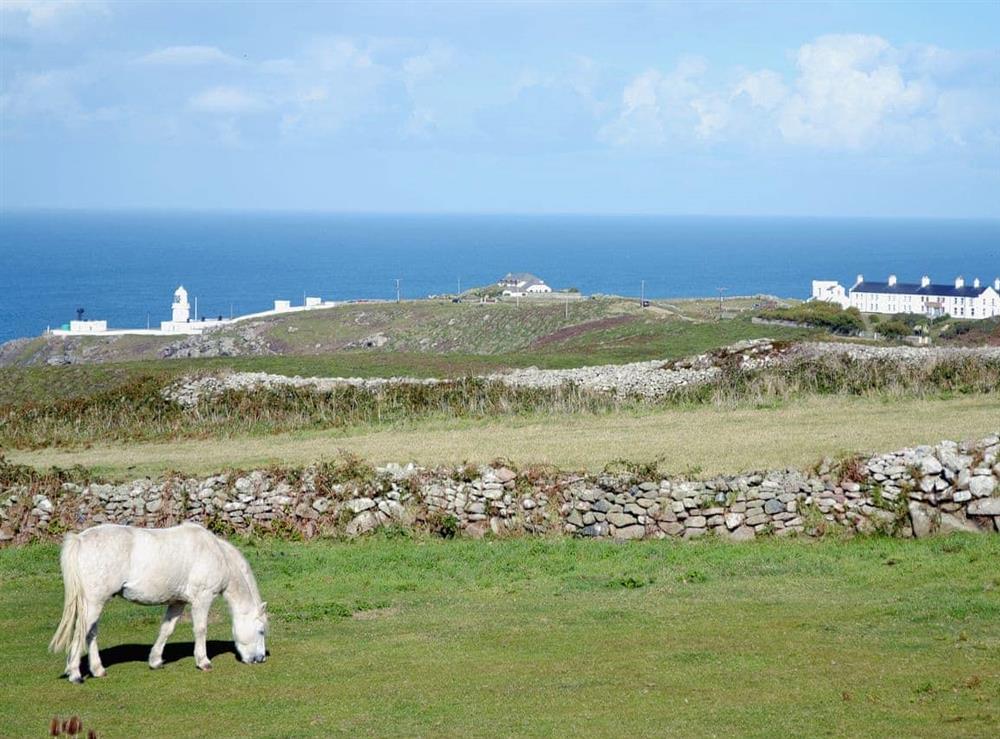 Pendeen Lighthouse at Bowjy Coth in Lower Boscaswell, Pendeen, Cornwall., Great Britain