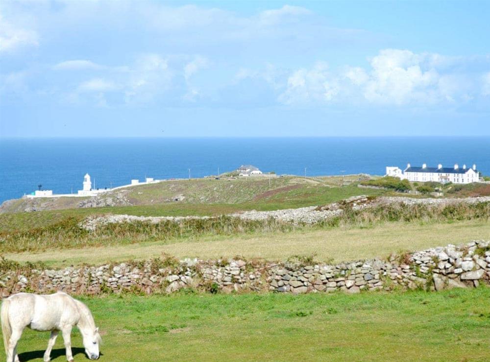 View to Pendeen Lighthouse and coast at Bowjy Coth in Lower Boscaswell, Pendeen, Cornwall., Great Britain