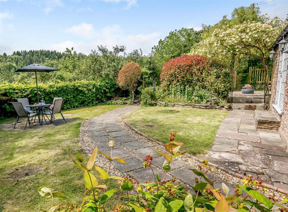 Garden at Box Tree Cottage in Blakeney, near Lydney, Gloucestershire