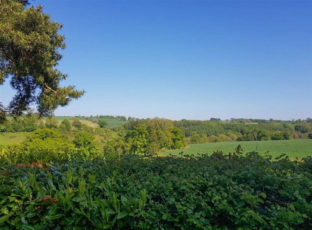 Surrounding area (photo 7) at Boxkite in Membury, near Axminster, Devon