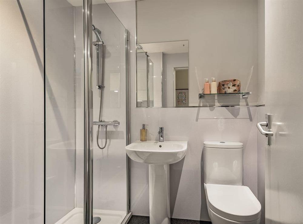 Shower room at Boyd Apartment in Largs, Ayrshire