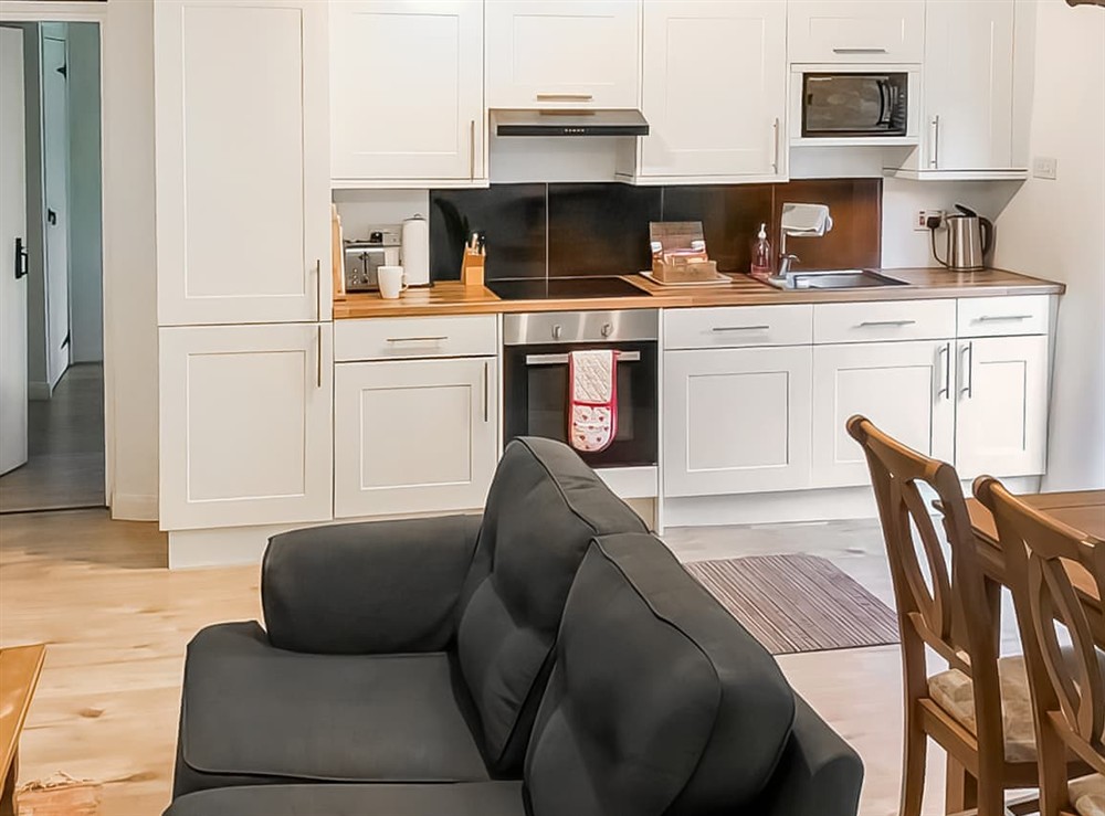 Open plan living space (photo 3) at Brabazon in Membury, Devon