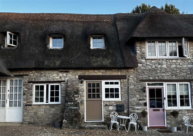 Outside at Bracken Cottage, Osmington