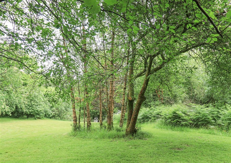 Outside (photo 3) at Bracken Ground, Coniston