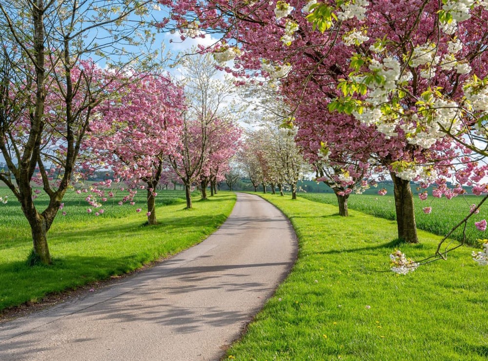 Bracken Hideaway, York at Bracken Hideaway in York, North Yorkshire