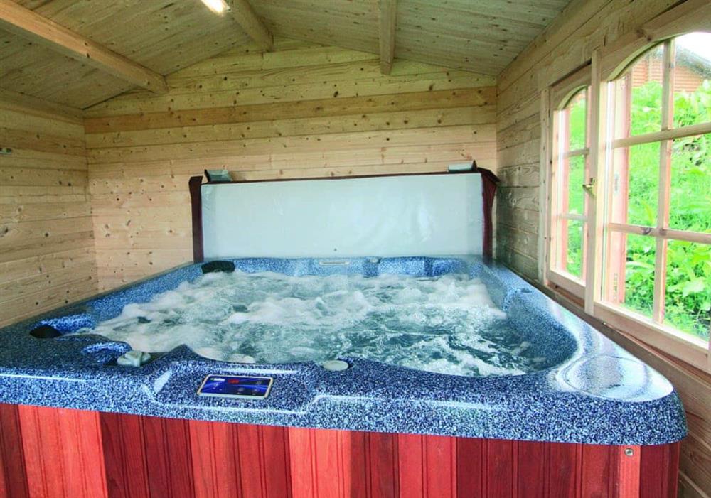 Bracken Log Cabin hot tub at Bracken Log Cabin in Perth, Perthshire