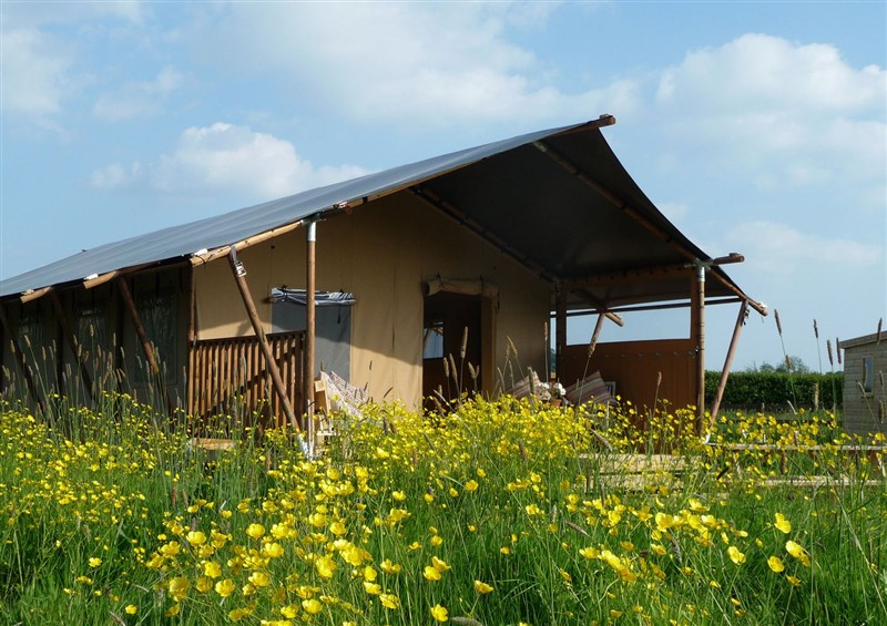 The setting at Braeburn Lodge, Coxbridge near Glastonbury