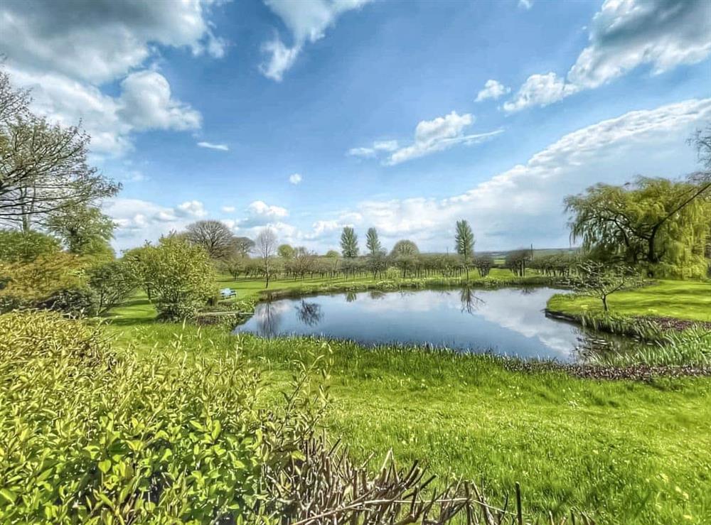 Garden and grounds (photo 4) at Braeburn in Pilton, near Shepton Mallet, Somerset