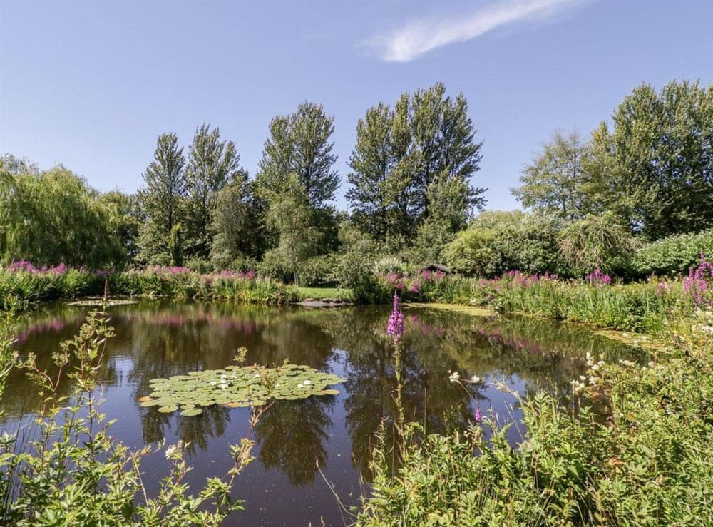 Garden and grounds (photo 5) at Braeburn in Pilton, near Shepton Mallet, Somerset