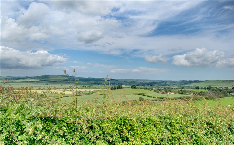 Rural landscape