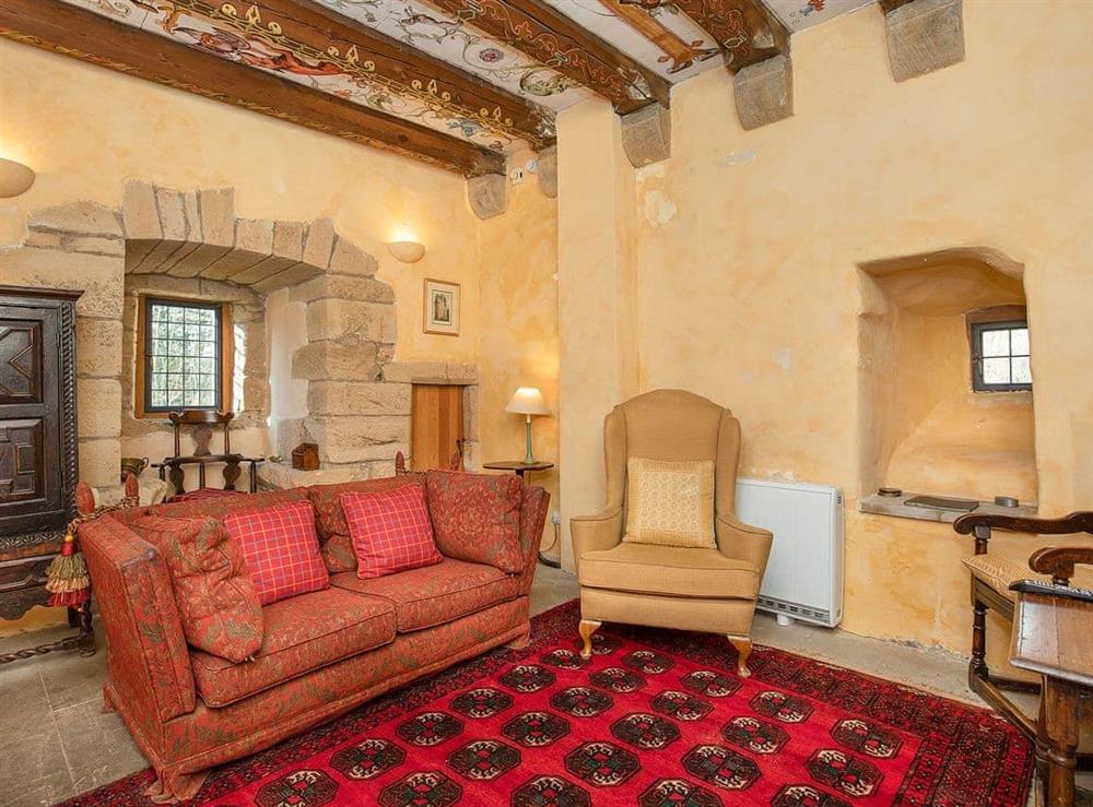 Comfortable and luxurious living room at Braidwood Castle, 