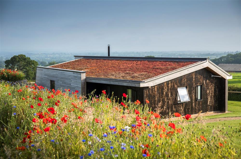 Bramble sits in a prominent position overlooking rural landscape and a beautiful wildflower meadow