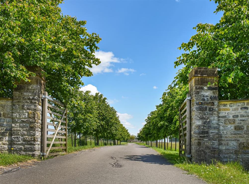 Driveway