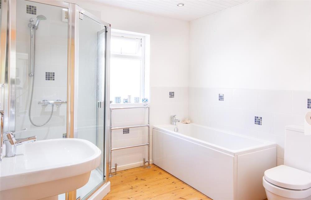 Family bathroom to ground floor at Bramble Hill in Crackington Haven