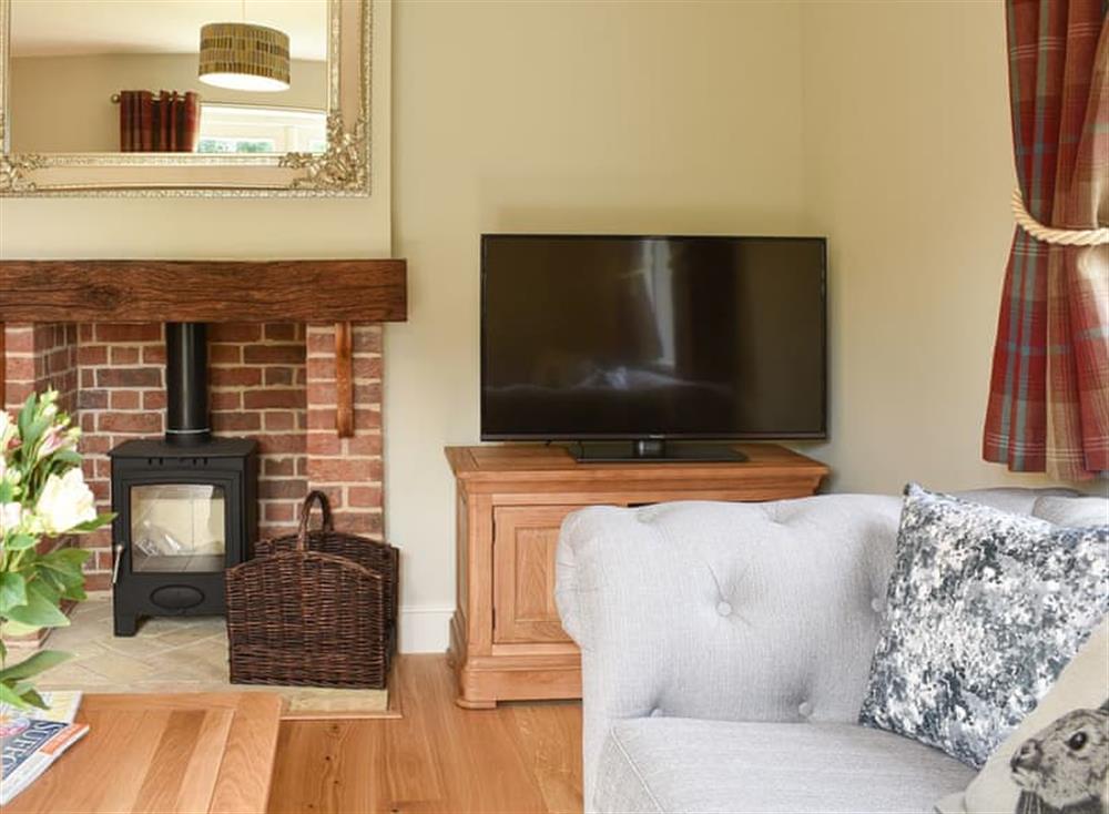 Living room with wood burner at Bramble House in Assington, near Sudbury, Suffolk