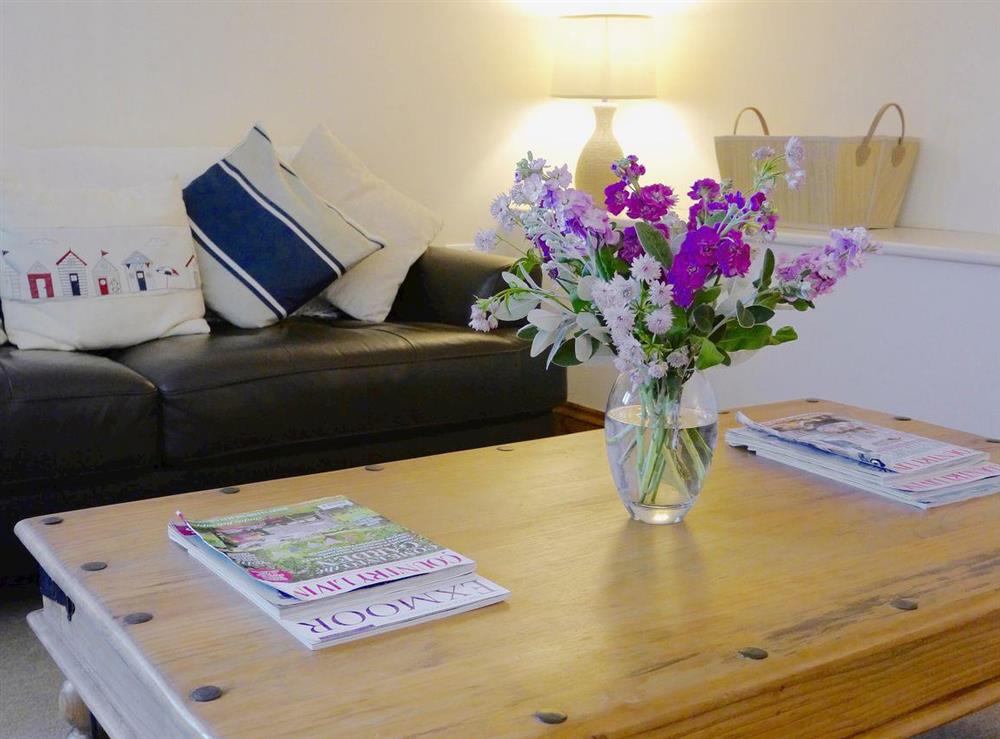 The living room is well decorated and furnished with style at Bramble Lodge in Hartland, Devon