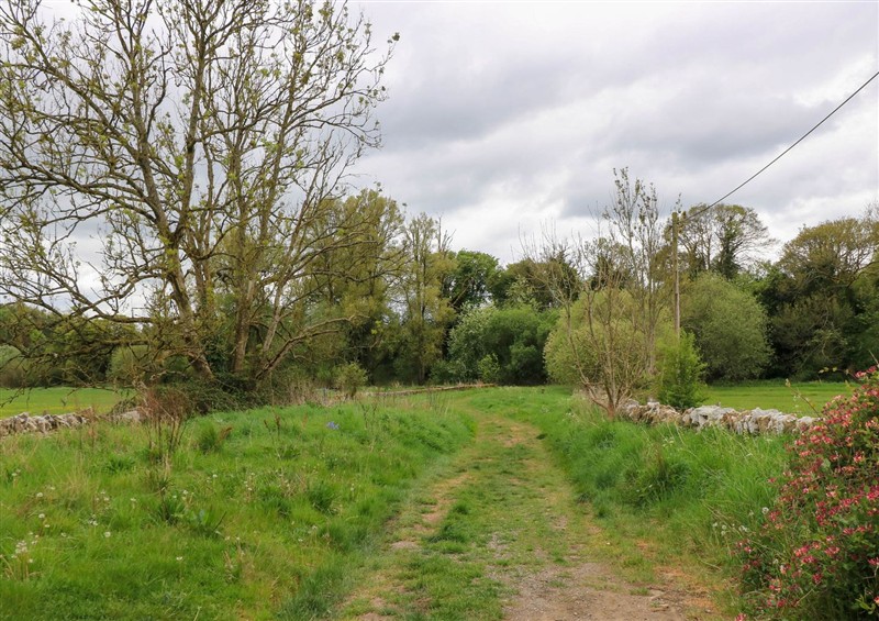 Enjoy the garden at Bramley Cottage, near Cirencester