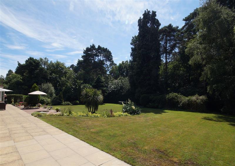 This is the garden at Branksome Wood House, Poole