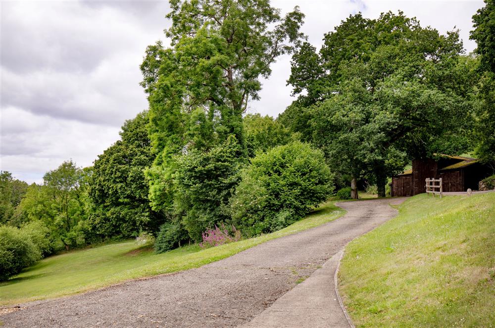 The private drive leading to Branscombe Lodge