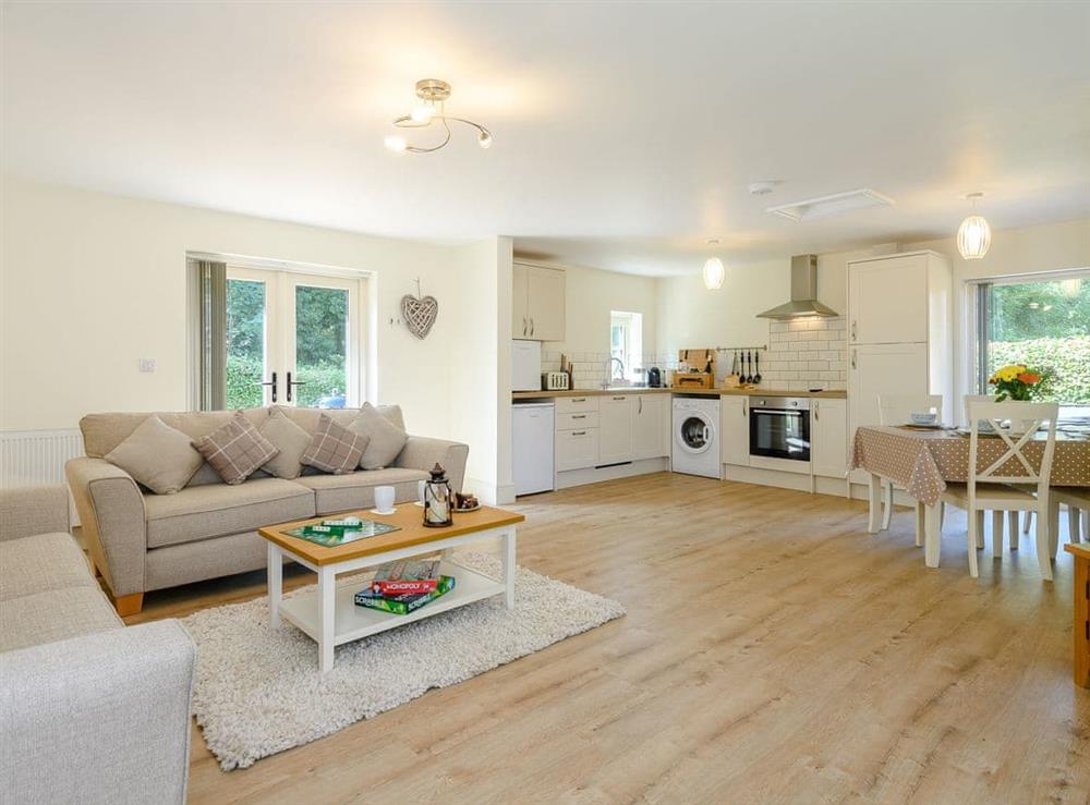 Spacious open-plan living areas at Woodcutters Cottage, 