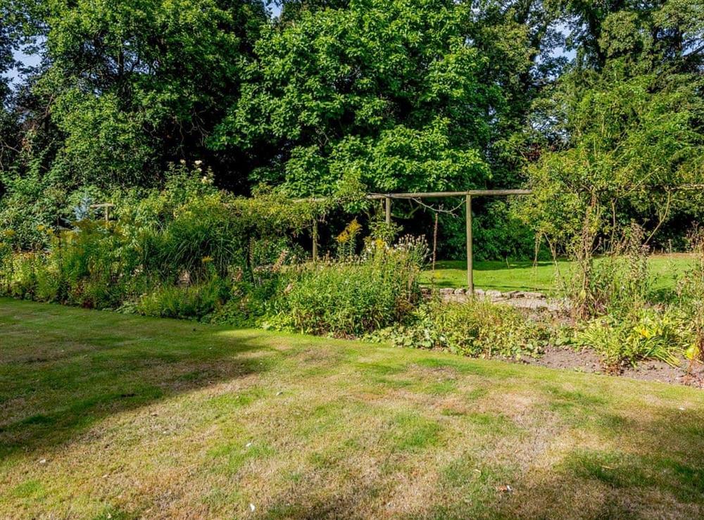 Well maintained garden and grounds at Braydeston House in Brundall, near Norwich, Norfolk